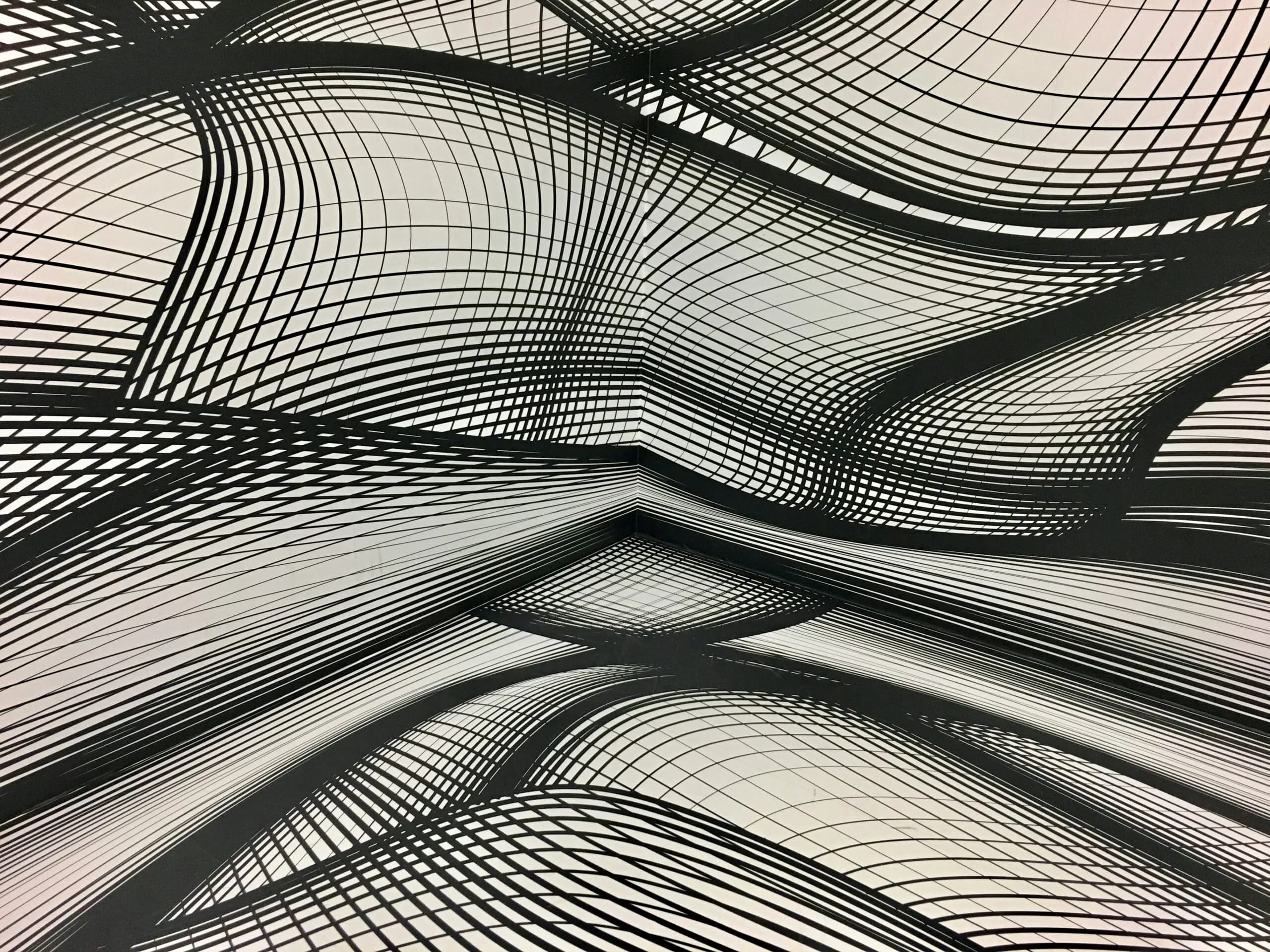 Curved black lines intersect dynamically, creating a three-dimensional, wave-like grid pattern. The lines form a complex, abstract design on a light background, suggesting movement and depth. No text present.