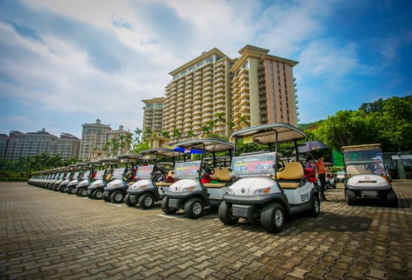 fleet of golf carts lined up outside